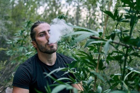 Kako odabrati e cigarete i najbolje tekućine za sigurnost i okus